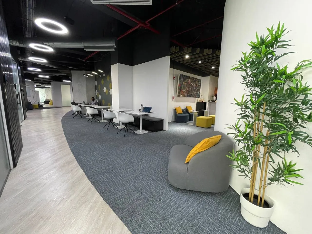Coworking — Spatium Santo Domingo