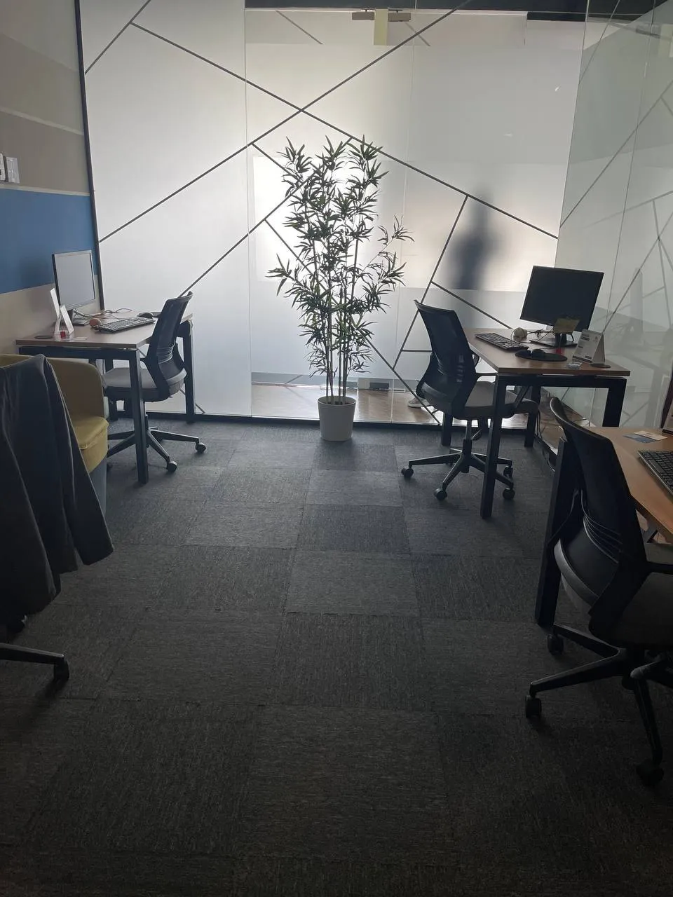 Oficina privada de BASF en Spatium Santo Domingo, con la marca del cliente en la pared